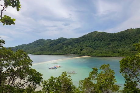 深海蛇难(深海蛇难: 海洋中的险恶世界)