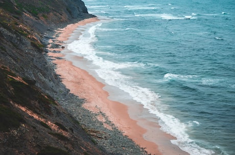 海芋恋(海芋恋：一场浪漫与美丽的相遇)