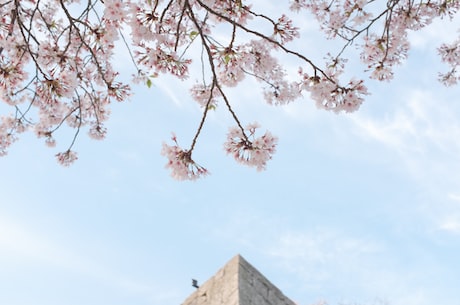 河北省唐山市天气(看唐山天气预报，心情更晴朗)