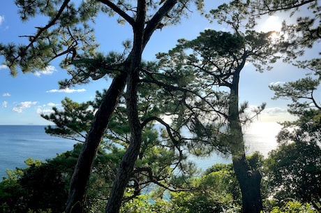 上海和睦家医院(上海和睦家医院：追求卓越医疗，关注患者身心健康)