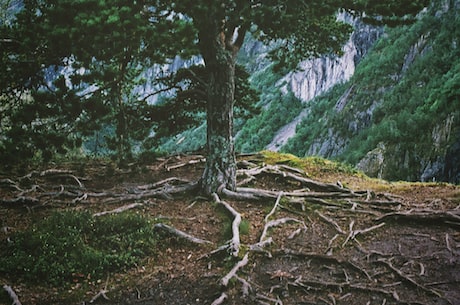 小米root(小米root教程：轻松get小米手机超级权限)