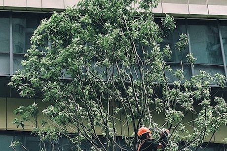 适宝康羊奶 更适应宝宝娇嫩的肠胃