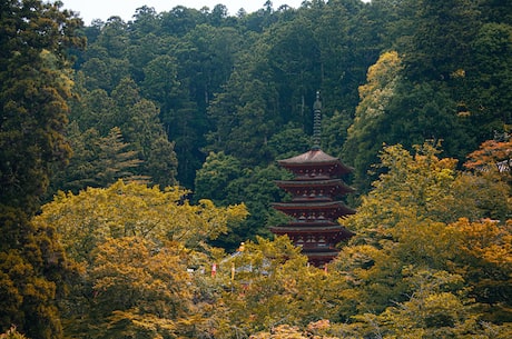 樱井武晴(无需虚伪，樱井武晴的强大人格魅力)