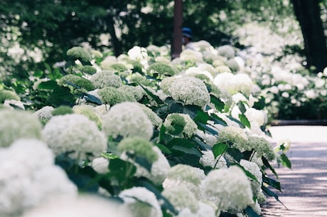 益盟操盘手 做到未雨绸缪