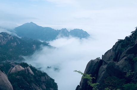 阴阳师礼包 更显一种清新活泼的特色