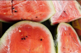 watermelon怎么读(趣味英语口语小课堂：watermelon怎么读？)