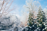 雪中悍刀行王仙芝(王仙芝：演绎雪中悍刀行 引领网络大IP新潮流)