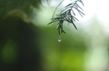 滨州天气预告：部门区域迎来小雨天气，建议外出记得带伞